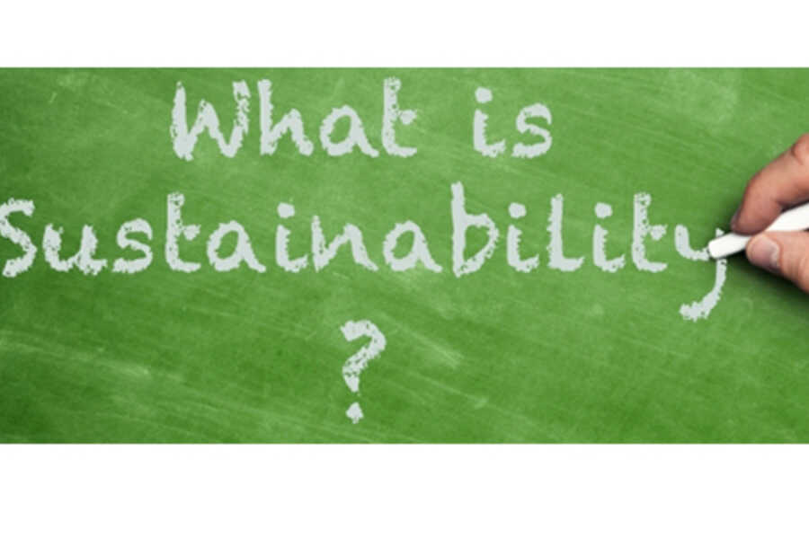 what-is-sustainability-being-here