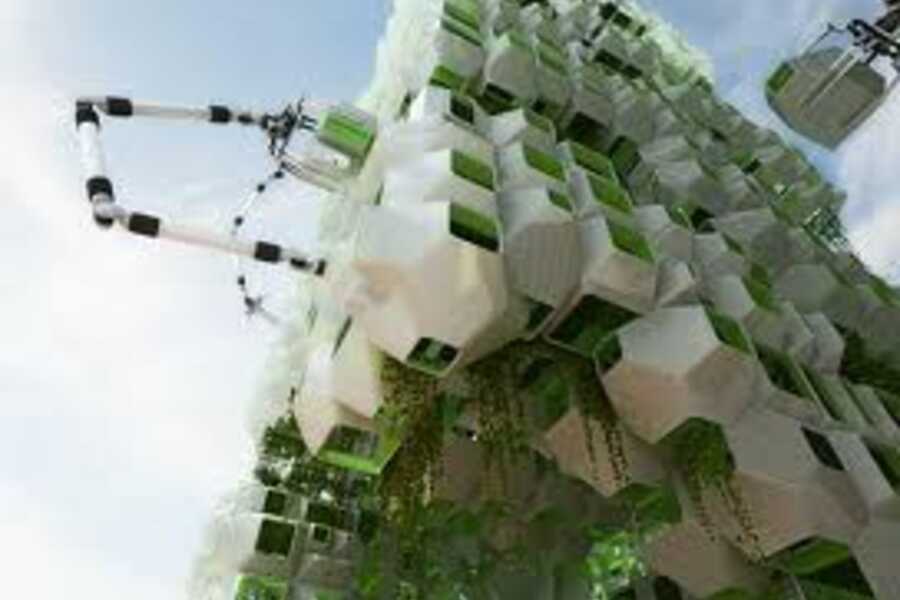 Bio-based Building Design — Being-Here