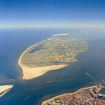 texel from above