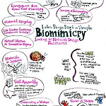 Biomimicry