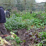 Observation exercise includes spacing out.