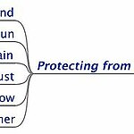 The functional analysis tree