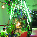 Biomodd Workshop Maribor, Slovenia, 2010. Installation view.