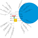 Some factors have more impact in Presence and Trust than others  (Graph: Chin-Lien Chen & Chris Vermaas).