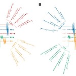 YUTPA - A, B Trade-offs define the ‘tone’ of communication, inspired by the French saying ‘C’est le ton qui fait la musique