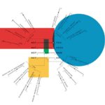 YUTPA - A–C certain dimensions are ‘carrier’ of trust in specific configurations and define trade-offs more than others