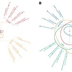 YUTPA - A, B inspired by Venn diagrams this visualization shows strong and weak areas of trust