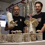 Blue economy example - Rotterzwam growing mushrooms on coffee waste