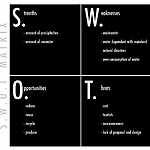 6.SWOT matrix.jpg